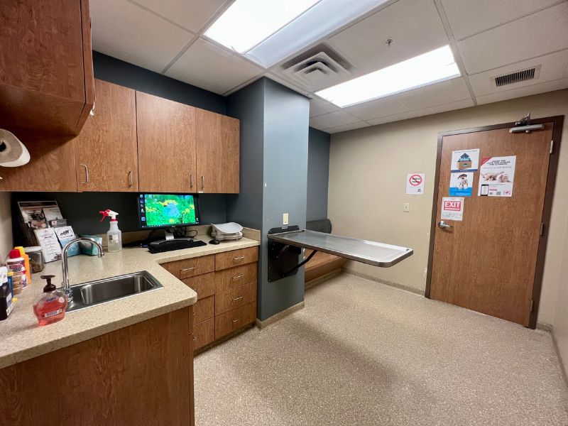 Hillcrest Veterinary Clinic Exam Table Hillcrest Veterinary Clinic Exam Table