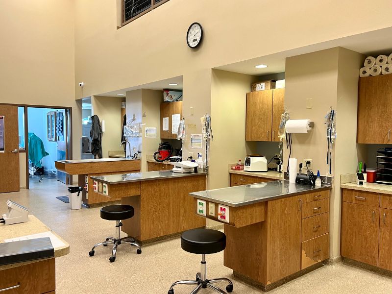 Hillcrest Veterinary Clinic Exam area (2) Hillcrest Veterinary Clinic Exam area