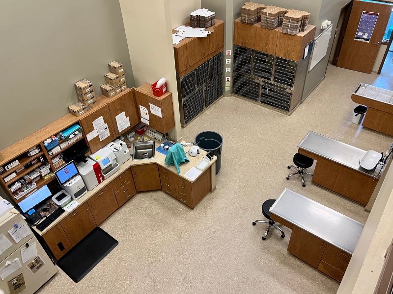 Hillcrest Veterinary Clinic Exam area Hillcrest Veterinary Clinic Exam area