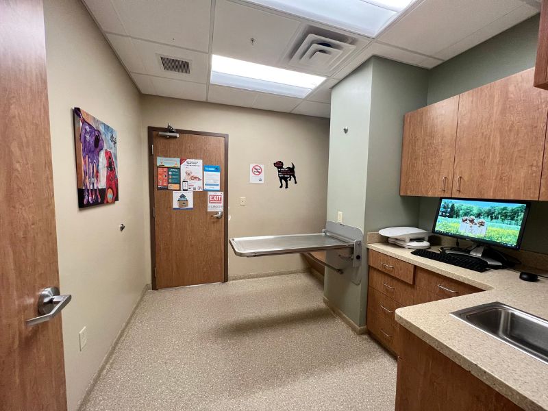 Hillcrest Veterinary Clinic Exam space Hillcrest Veterinary Clinic Exam space