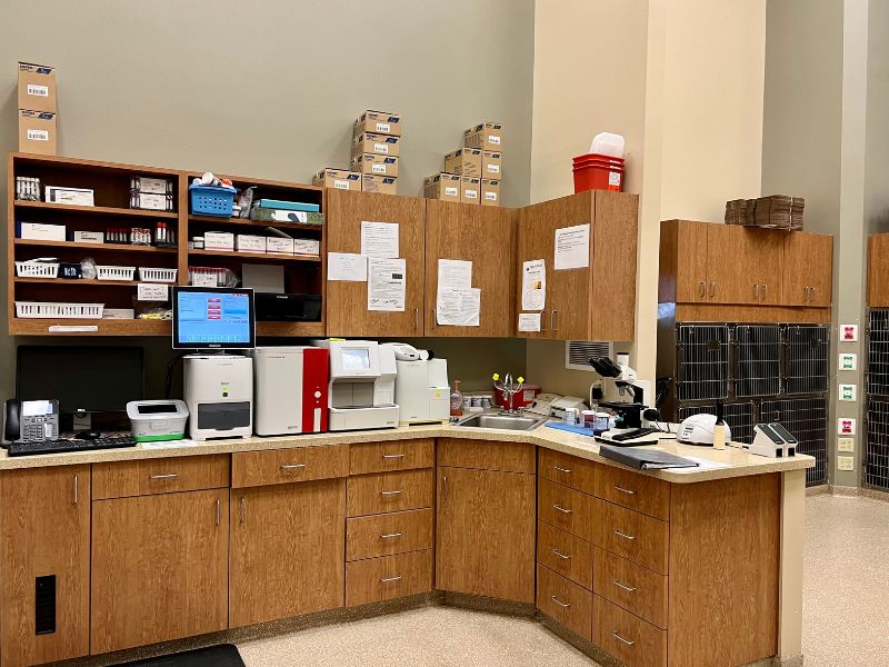 Hillcrest Veterinary Clinic Lab Area Hillcrest Veterinary Clinic Lab Area