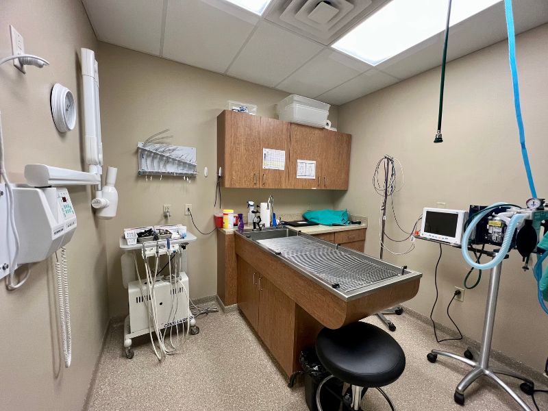 Hillcrest Veterinary Clinic Procedure space Hillcrest Veterinary Clinic Procedure space