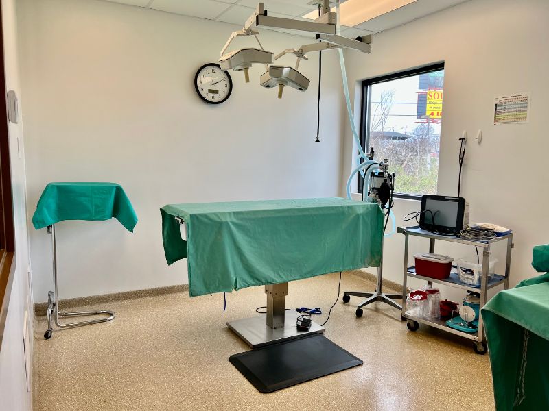 Hillcrest Veterinary Clinic Surgical Suite Hillcrest Veterinary Clinic Surgical Suite