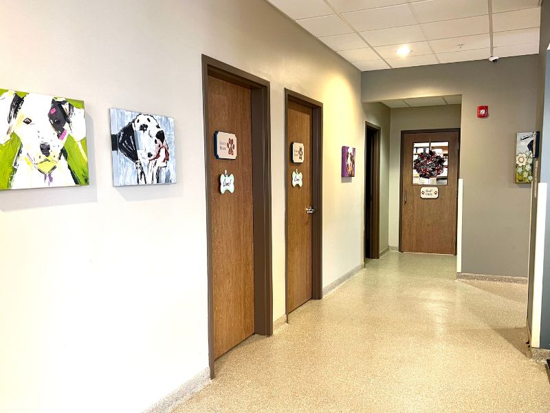 Hillcrest Veterinary Clinic Waiting room area Hillcrest Veterinary Clinic Waiting room area
