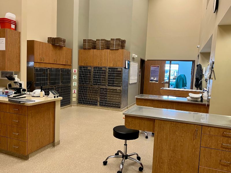 Hillcrest Veterinary Clinic kennel area Hillcrest Veterinary Clinic kennel area