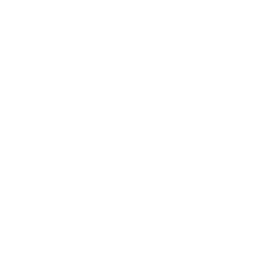 Pet spay and neuter icon