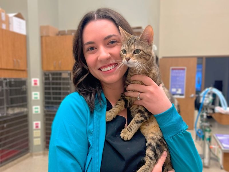 Veterinary Staff holding a young cat