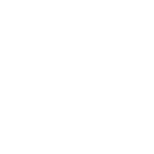 Pet acupuncture icon