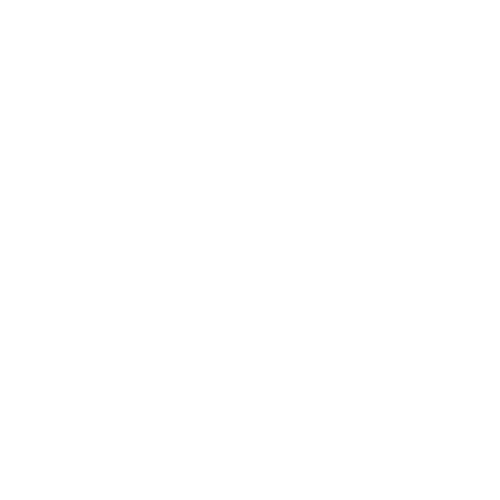 Wellness services Icon