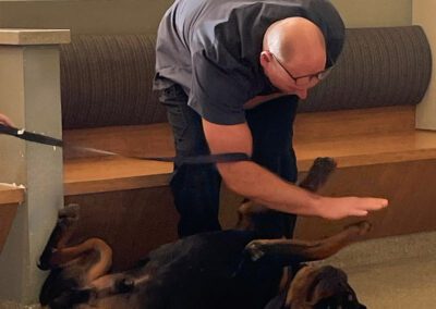 dog doing high five with vet