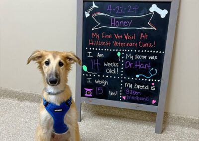 dog sitting front of a first time visit board