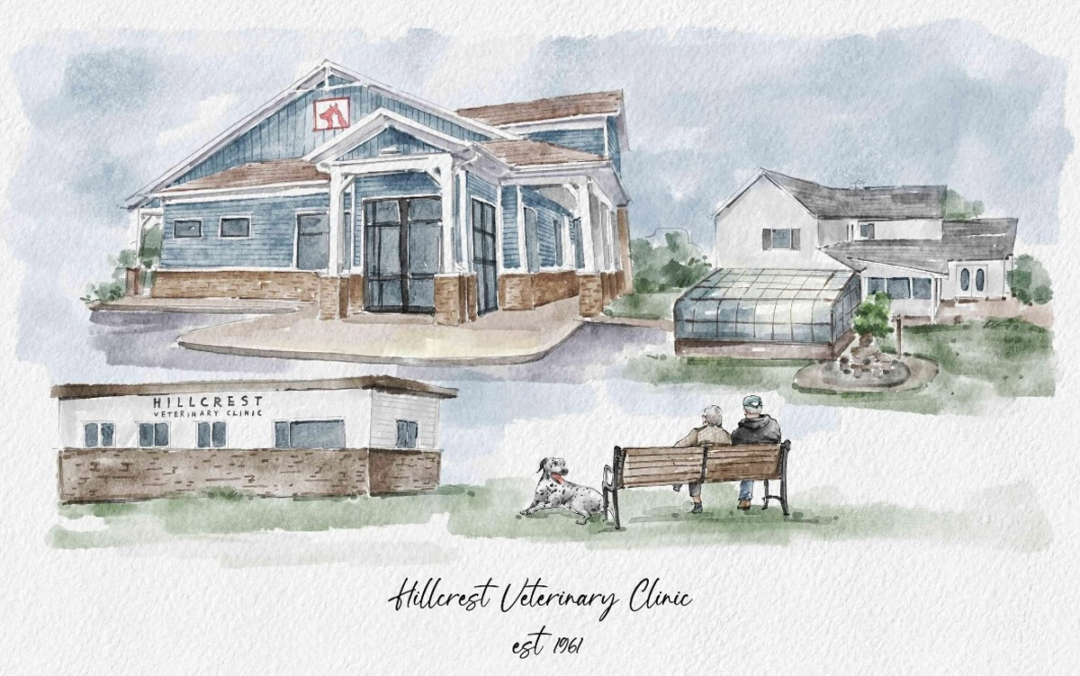 drawing-of-the-portrait