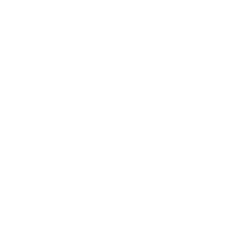 Pet acupuncture icon