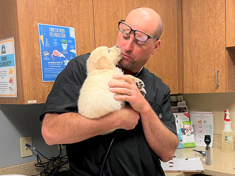man-holding-and-care-the-puppy man-holding-and-care-the-puppy