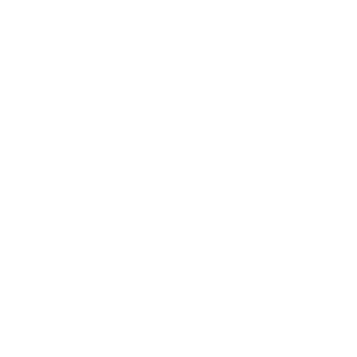 Pet spay and neuter icon