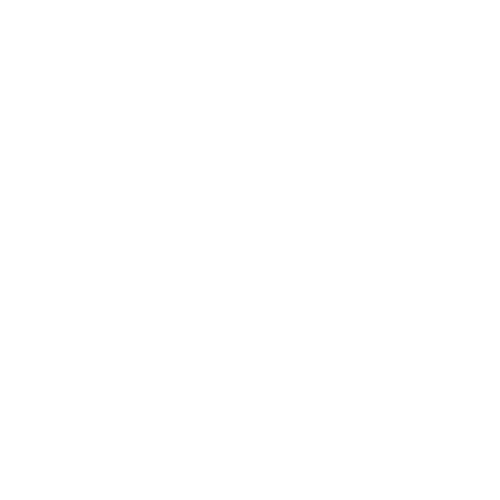 Wellness services Icon