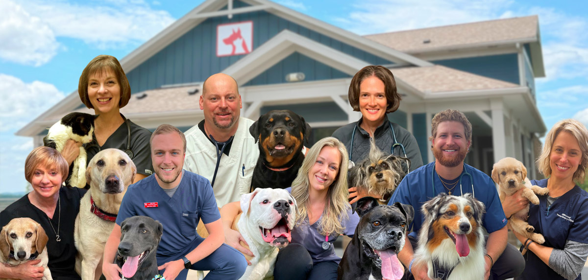 team members and pets sitting outside of clinic
