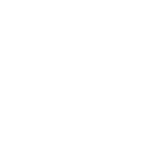 Pet spay and neuter icon