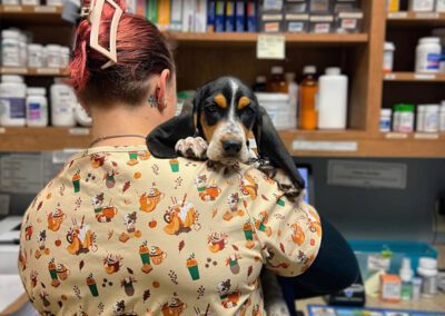 staff holding a cute dog with floppy ears