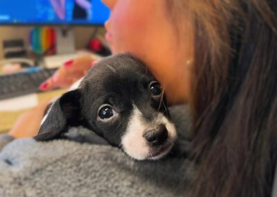 women holding puppy on her shoulder