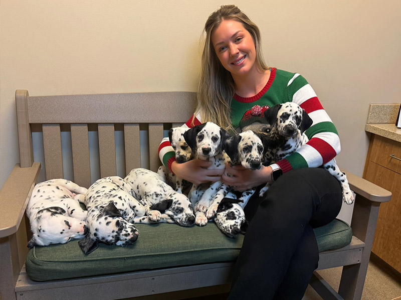 women-sitting-with-pets women-sitting-with-pets