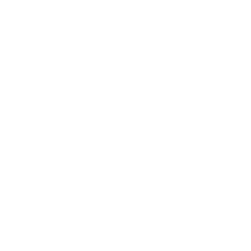 Pet spay and neuter icon