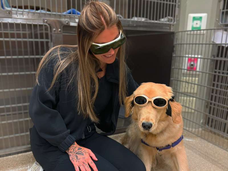Dog and woman wear sunglasses Dog and woman wear sunglasses