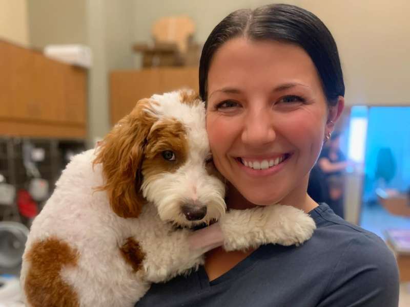 dog-sitting-on-the-floor-inside