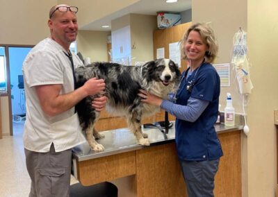 Two people with dog, examination
