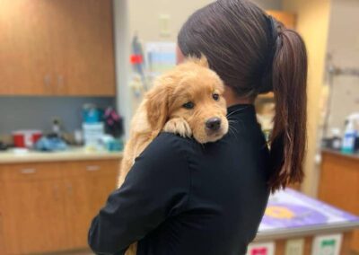 Woman holding puppy in vet room