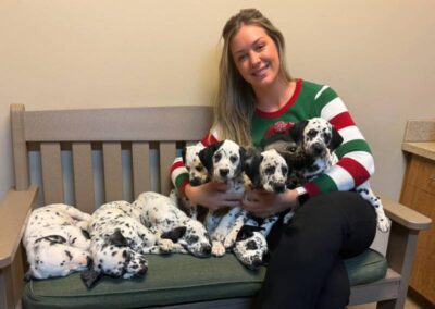 Woman with multiple dalmatian puppies