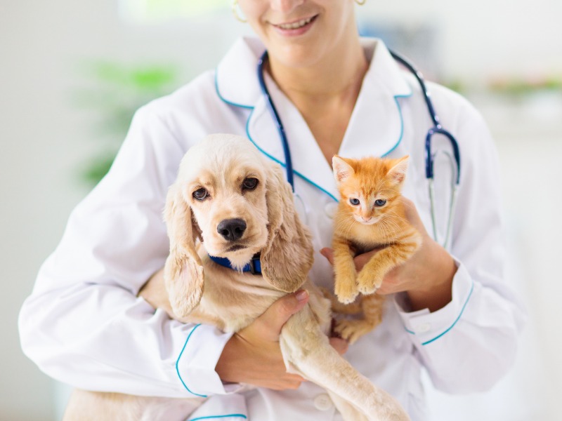 A doctor wearing a white coat cradles a dog and a cat
