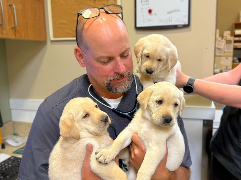 A man cradles three adorable puppies in his arms