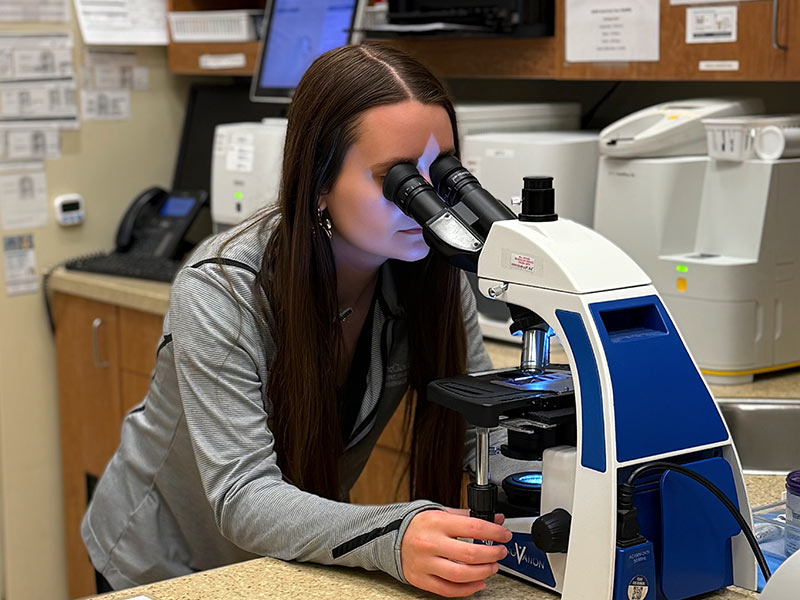 Veterinary team member using a microscope at the clinic