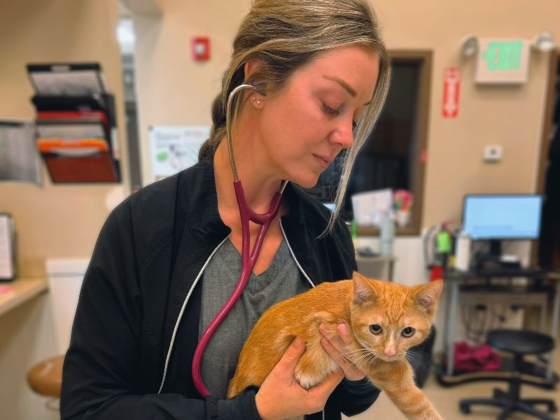 A woman holds an orange cat while wearing a stethoscope