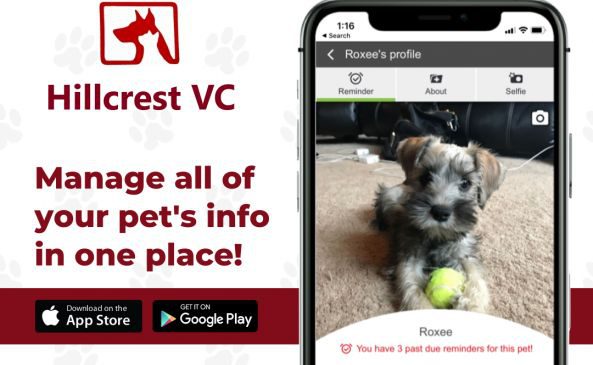 Hillcrest-VC-App
